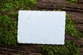 Vintage empty paper on the old wooden bark texture of tree with moss Royalty Free Stock Photo