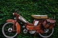 Vintage European Moped