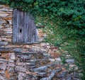 Vintage facade and wooden door covered by ivy Royalty Free Stock Photo