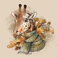 Vintage fall illustration. Cute giaffe with autumn leaves and acorns brunch