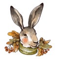 Vintage fall illustration. Cute hare with autumn leaves and acorns brunch. Woodland bunny