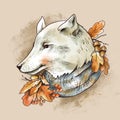 Vintage fall illustration. Cute white wolf with autumn leaves and acorns brunch