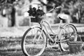 Vintage fancy bike blooming garden background. Rent bike to explore city. Nature cycling tour. Retro bicycle with picnic