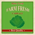 Vintage farm fresh cabbage poster Royalty Free Stock Photo