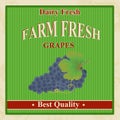 Vintage farm fresh grapes poster