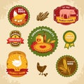 Vintage farm labels Royalty Free Stock Photo