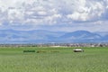 Vintage Farm Truck and harvest machinery with Panoramic view of Wasatch Front Rocky Mountains, Great Salt Lake Valley in early spr Royalty Free Stock Photo