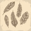 Vintage feathers ethnic pattern, tribal design, tattoo Royalty Free Stock Photo