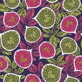 Vintage fig seamless pattern. Botanical background. Engraved fig. Vector illustration