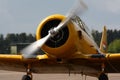 Vintage Fighter Bomber Royalty Free Stock Photo