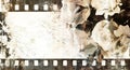 Vintage film strip frame with roses Royalty Free Stock Photo