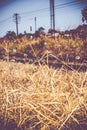 Vintage filter:Dried yellow grass at railway Royalty Free Stock Photo