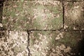 Vintage filter :grunge stone brick block with grass moss on surf