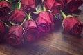 Vintage filter red roses Royalty Free Stock Photo