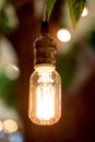 Vintage filter : Vintage lightbulb hanging on tree. Royalty Free Stock Photo