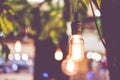 Vintage filter : Vintage lightbulb hanging on tree Royalty Free Stock Photo