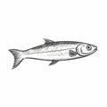 Vintage Fishing Drawing: Sardine Illustration In Patricia Piccinini Style
