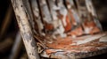 Vintage Flannel Rocking Chair: Capturing Rustic Charm With Close-up Photography