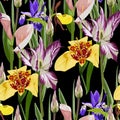 Vintage flo/ral seamless background pattern. Beautiful tulips flower with tigridia Royalty Free Stock Photo