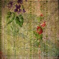 Vintage - Floral and Atlas Print Background