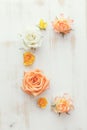 Vintage floral background Royalty Free Stock Photo