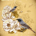 Vintage floral background with birds