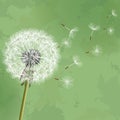 Vintage floral background with flower dandelion