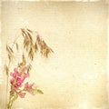 Vintage floral background with grass and flowers on a brown back Royalty Free Stock Photo