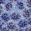 Vintage floral blue-white beautiful background. Flower composition. Bouquet of flowers from blue roses. Close-up. Royalty Free Stock Photo