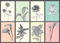 Vintage Floral Cards Set. Royalty Free Stock Photo