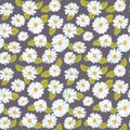 Vintage Floral Daisy Background