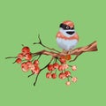 Vintage floral greeting card, spring or summer decoration with dry branch, red berries, mountain ash, little red bird Royalty Free Stock Photo