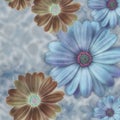 blue background with blue brown daisy flower border Royalty Free Stock Photo