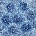 Vintage floral light blue beautiful background. Flower composition. Bouquet of flowers from light blue roses. Close-up. Royalty Free Stock Photo