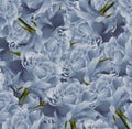 Vintage floral light blue beautiful background. Flower composition. Bouquet of flowers from light blue roses. Close-up. Royalty Free Stock Photo