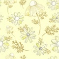 Vintage floral pattern. Wildflowers pattern. Old Texura. beige background, white flowers. Adonis, Echinacea, Chamomile. Royalty Free Stock Photo