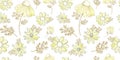 Vintage floral pattern. Wildflowers pattern. Old Texura. beige background, white flowers. Adonis, Echinacea, Chamomile. Vector Royalty Free Stock Photo