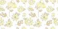 Vintage floral pattern. Wildflowers pattern. Old Texura. beige background, white flowers. Adonis, Echinacea, Chamomile. Vector