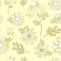 Vintage floral pattern. Wildflowers pattern. Old Texura. beige background, white flowers. Adonis, Echinacea, Chamomile. Vector Royalty Free Stock Photo