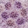 Vintage floral pink beautiful background. Flower composition. Bouquet of flowers from purple roses. Close-up. Royalty Free Stock Photo