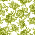 Vintage floral seamless greenery monochrome pattern with flowering peonies, on white background. Watercolor hand drawn painting il