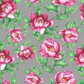 Vintage floral seamless pattern with flowering pink peonies, on gray background.