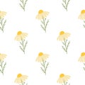 Vintage floral seamless pattern with yellow cute daisy flowers print. Isolated natural ornament Royalty Free Stock Photo