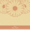 Vintage floral template. Daisies.