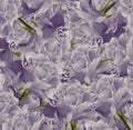 Vintage floral violet beautiful background. Flower composition. Bouquet of flowers from light purple roses. Close-up. Royalty Free Stock Photo