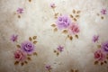 Floral Antique Royalty Free Stock Photo