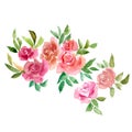 Watercolor roses. Floral background. Pink flowers greeting card. Royalty Free Stock Photo