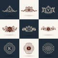 Vintage flourishes elements. Calligraphic ornaments set Royalty Free Stock Photo