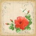 Vintage flower dragonfly retro card border frame Royalty Free Stock Photo