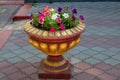 Vintage flower vase on the sidewalk in a Park or garden Royalty Free Stock Photo